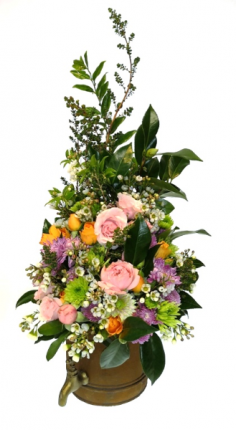 Category Image