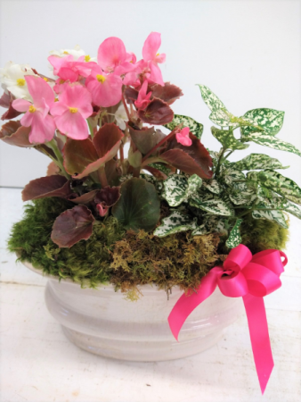 Flowering Garden in Ceramic Urn