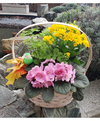 Blooming Beautiful Plant basket