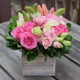 Sweetheart Dutch Flower Box Spring