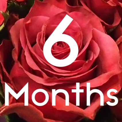 FLOWERS FOR 6 MONTHS Subscription Service