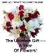 Flowers for a Year Subscription Service