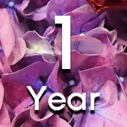 FLOWERS FOR A YEAR Subscription Service