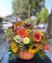 Fall Florals in Ceramic Pumpkin White or Green Ceramic Pumpkins only, please specify