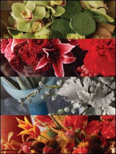 FLOWERS IN LAS VEGAS Designer's choice flower arrangment. in Las Vegas, NV | AN OCTOPUS'S GARDEN