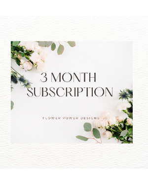 3 Month Subscription 