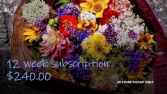 FLOWERS OF THE WEEK CLUB: 12 WEEKS IN STORE PICKUP ONLY in Bedford, New Hampshire | PJ's Flowers & Weddings
