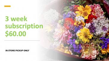 FLOWERS OF THE WEEK CLUB: 3 WEEKS IN STORE PICKUP ONLY in Bedford, NH | PJ's Flowers & Weddings