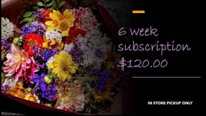 FLOWERS OF THE WEEK CLUB: 6 WEEKS IN STORE PICKUP ONLY