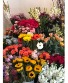 Purchase this funeral home arrangement