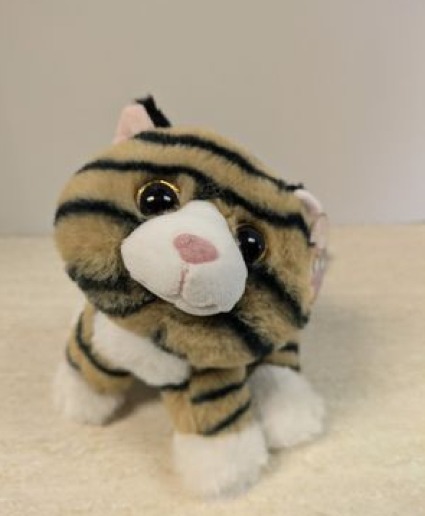 Fluffles Tabby 7