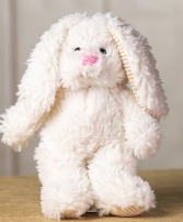 Fluffy Scruffy White Rabbit 