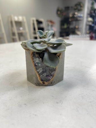 Fluorite Geode Vessel Planter