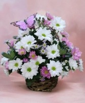 Fluttering Butterfly Basket FHF-M02 Fresh Flower Arrangement (Local Delivery Area Only) in Elkton, Maryland | FAIR HILL FLORIST