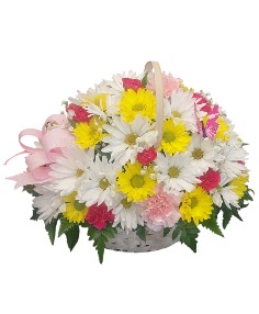 Category Image