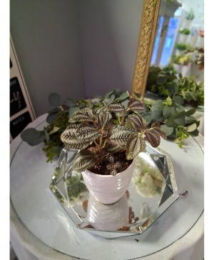Foliage in upgrade  