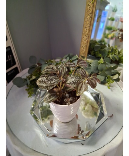 Foliage in upgrade  