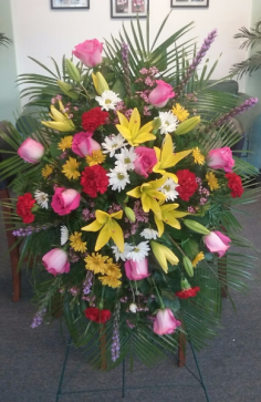 Category Image