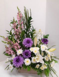 Category Image