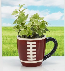 Football Coffee Mug Gifts
