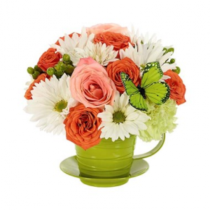 For All You Do Teacup Arrangement in Croton On Hudson, NY | Cooke's Little Shoppe Of Flowers For All You Do Teacup Arrangement in Croton On Hudson, NY | Cooke's Little Shoppe Of Flowers