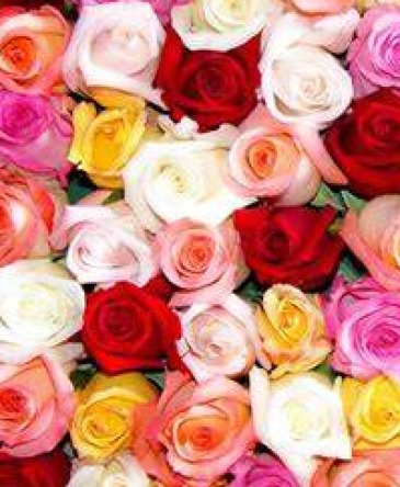 FOR BRIAN Roses in Mineral Wells, TX | The Flower Shop FOR BRIAN Roses in Mineral Wells, TX | The Flower Shop