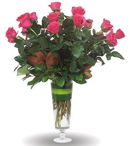        Hot Pink Beauties         Vased