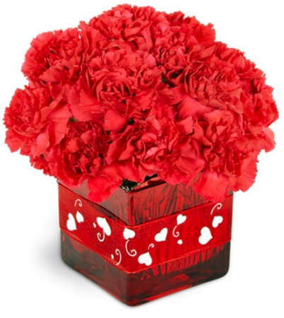 For my Valentine's
