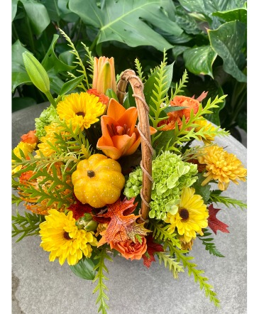 For the Hostess  in Medfield, MA | Lovell's Florist, Greenhouse & Nursery