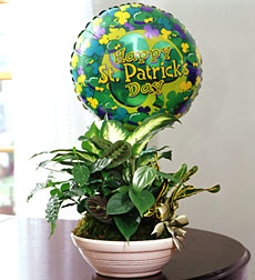 For The Little Leprechaun