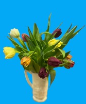 For the Love of Tulips Spring