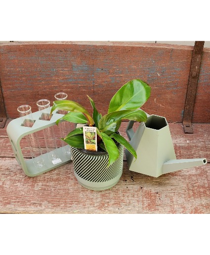 For The Plant Lover Gift Set