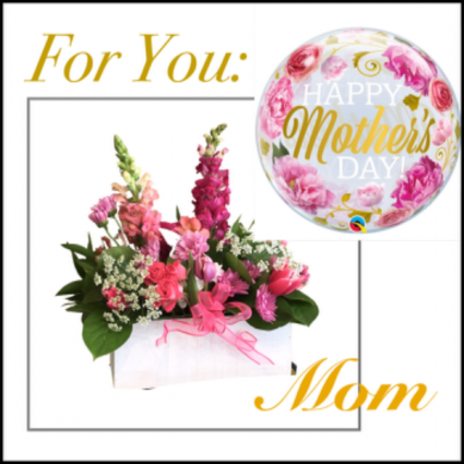 For You Mom Garden in a Box
