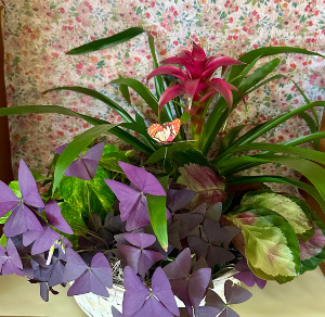 For you, With Love Plant Basket