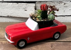 Ford Mustang Succulent Garden
