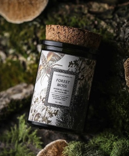 Forest Moss 6oz Candle that Burns 40 Hours