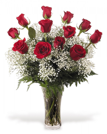 Forever Beautiful Dozen Long Stem Premium Red Roses