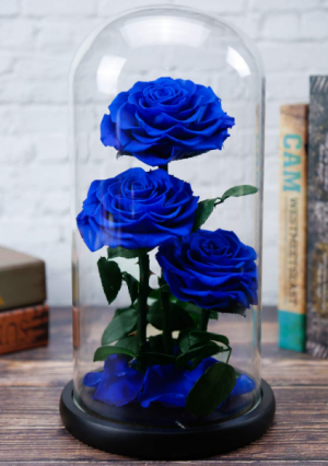Forever Blue roses dome Roses that last for years
