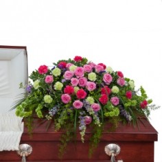 Category Image