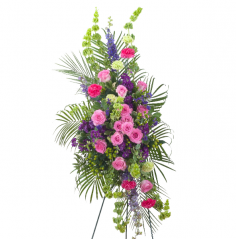 Category Image
