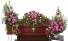 Purchase this funeral home arrangement