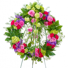 Category Image