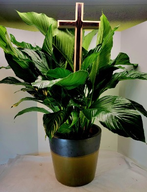 Premium Forever Faithful Peace Lily Plant W/Hand Made Cross