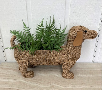 Forever Ferns in Dog Rattan Planter
