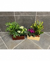 Forever Floral's Bamboo Mixed Planter 