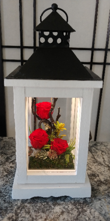 Forever Lantern Rose Amor