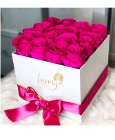 Square Box Luxury 