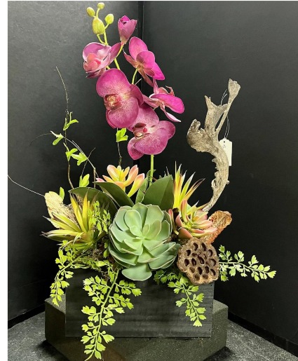 FOREVER ORCHIDS AND SUCCULENTS Artificial