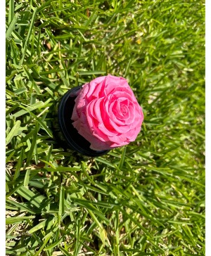 Forever Pink Rose Preserved Rose