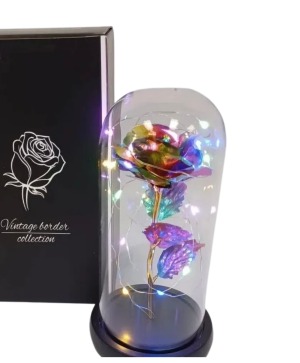 forever Rose all around